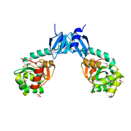 BU of 4npb by Molmil