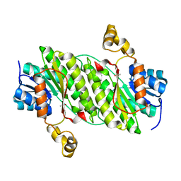 BU of 4npc by Molmil