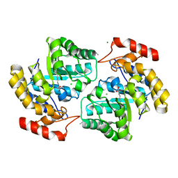 BU of 4nq1 by Molmil