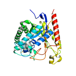 BU of 4nrs by Molmil