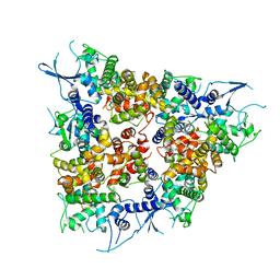 BU of 4nsc by Molmil