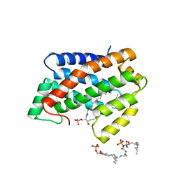 BU of 4nti by Molmil