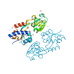 BU of 4ntl by Molmil