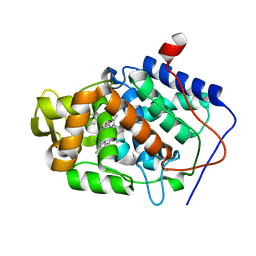 BU of 4nvh by Molmil