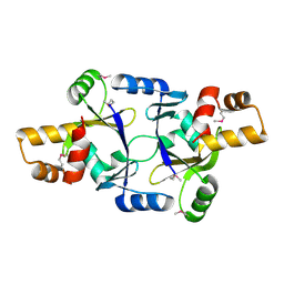 BU of 4nvs by Molmil