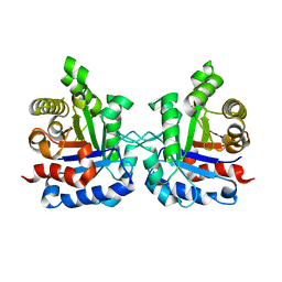 BU of 4nvt by Molmil