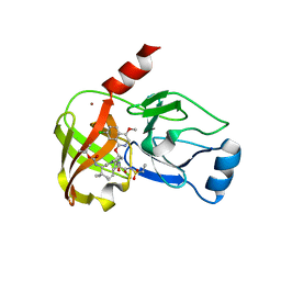 BU of 4nwl by Molmil