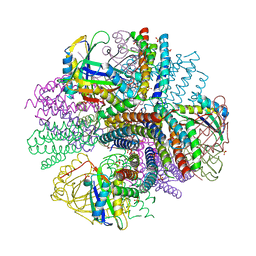 BU of 4nwp by Molmil