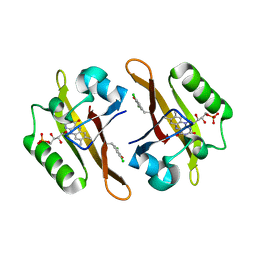 BU of 4nxe by Molmil