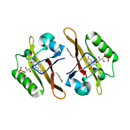 BU of 4nxf by Molmil