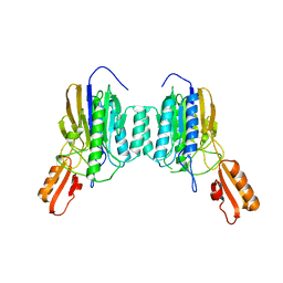 BU of 4nzv by Molmil