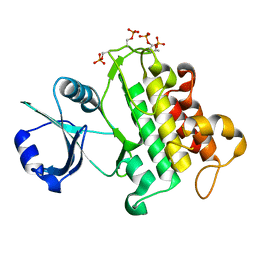 AU of 4oa6 by Molmil