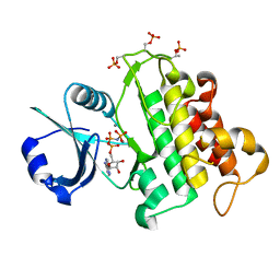 AU of 4oa9 by Molmil