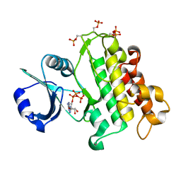 AU of 4oab by Molmil