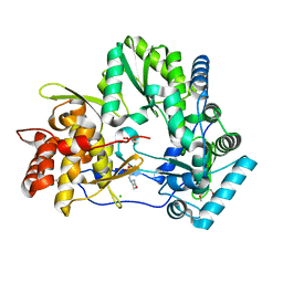 BU of 4obc by Molmil