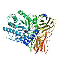 BU of 4obs by Molmil