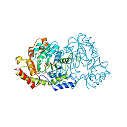 BU of 4oca by Molmil