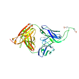 BU of 4ocw by Molmil