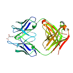 BU of 4ocx by Molmil