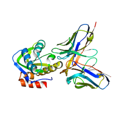 BU of 4odx by Molmil