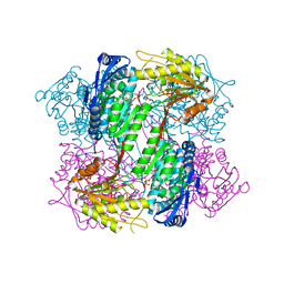 BU of 4oe4 by Molmil