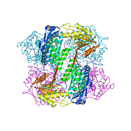 BU of 4oe6 by Molmil