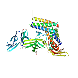 AU of 4oe8 by Molmil