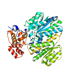 BU of 4ohm by Molmil