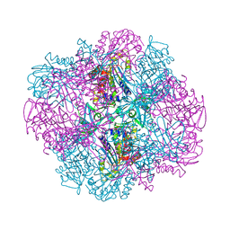 BU of 4oid by Molmil