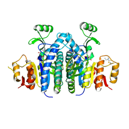 BU of 4olc by Molmil