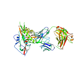 BU of 4olv by Molmil