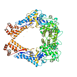 AU of 4om6 by Molmil