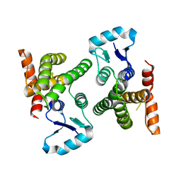 BU of 4omv by Molmil