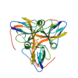 BU of 4ooq by Molmil