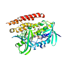 BU of 4opd by Molmil