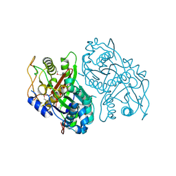 BU of 4opf by Molmil