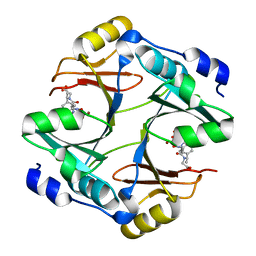 BU of 4opn by Molmil