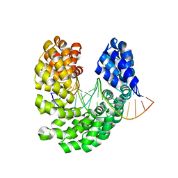 BU of 4osr by Molmil