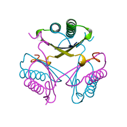 BU of 4otb by Molmil