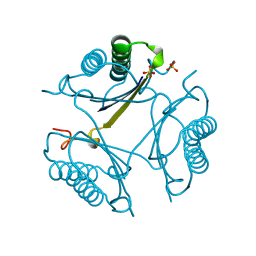 BU of 4otc by Molmil