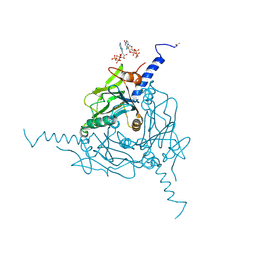 BU of 4ots by Molmil