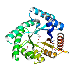 BU of 4ovx by Molmil