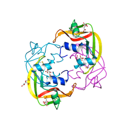 BU of 4oxf by Molmil