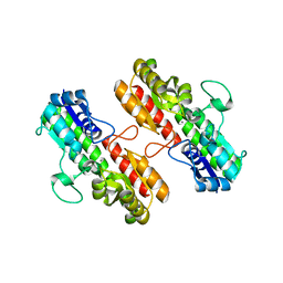 BU of 4oxr by Molmil