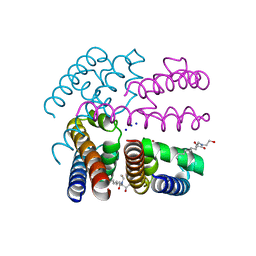 BU of 4oxs by Molmil