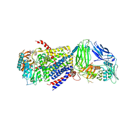 BU of 4p00 by Molmil