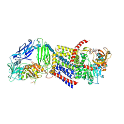 BU of 4p02 by Molmil