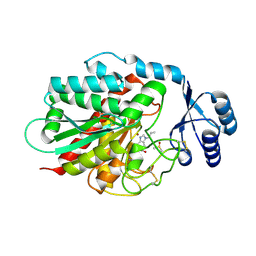 BU of 4p10 by Molmil