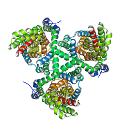 BU of 4p1a by Molmil