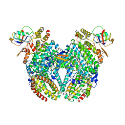 BU of 4p1b by Molmil